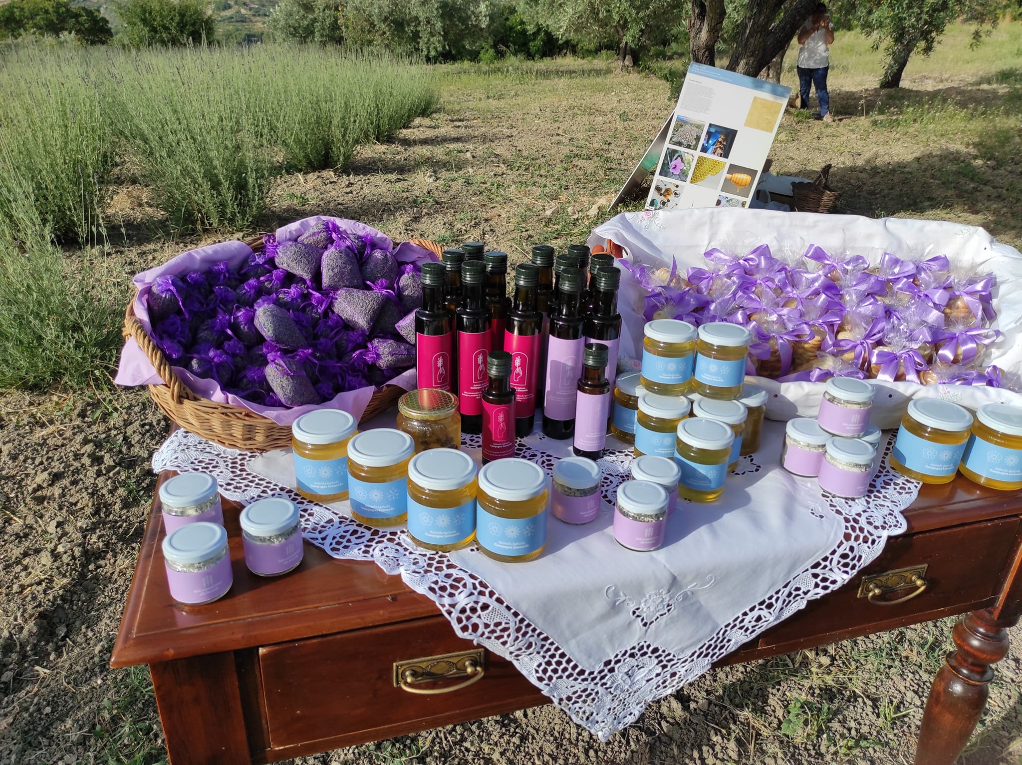 LAVANDA 3